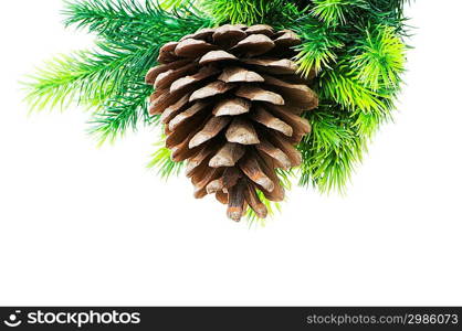 Cone and christmas tree isolated on white