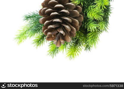 Cone and christmas tree isolated on white