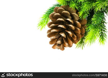 Cone and christmas tree isolated on white