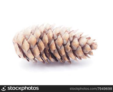 cone on white background