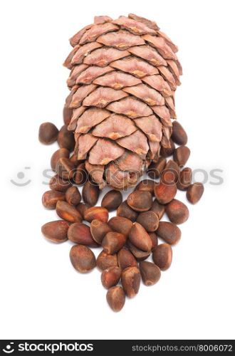 cone with pine nuts on a white background