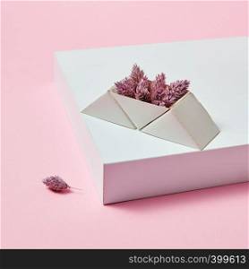 Cones in a triangular box presented on a white cardboard box around a pink background with copy space. Autumn layout for postcard. On the white box are pine cones in a cardboard triangular box on a pink background with space for text.