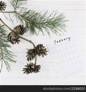 cones with january calendar table