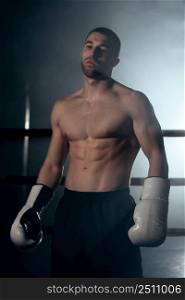 Confident boxer standing in pose, ready to fight. High quality photo. Confident boxer standing in pose, ready to fight.