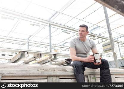 Confident mature male botanist sitting with coffee in greenhouse