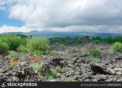 Congealed Black Lava on the Slopes of Mount Etna in Sicily