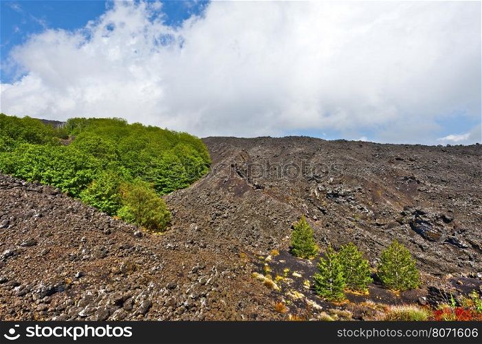 Congealed Black Lava on the Slopes of Mount Etna in Sicily