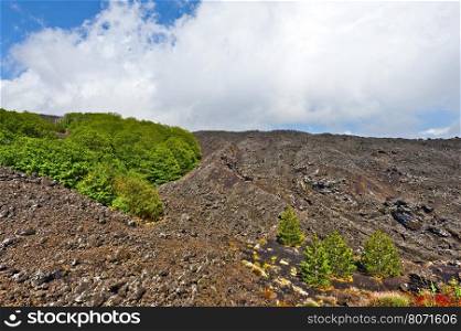 Congealed Black Lava on the Slopes of Mount Etna in Sicily