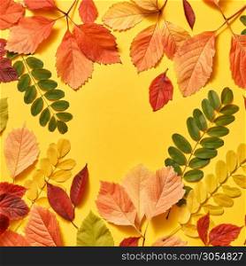 Congratulation fall multicolored frame on an yellow background with hard shadows, copy space. Flat lay.. Handmade colorful autumn leaves frame.