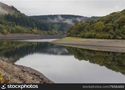 Conifer Trees on hill, reflected in water. United Kingdom.