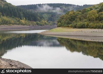 Conifer Trees on hill, reflected in water. United Kingdom.