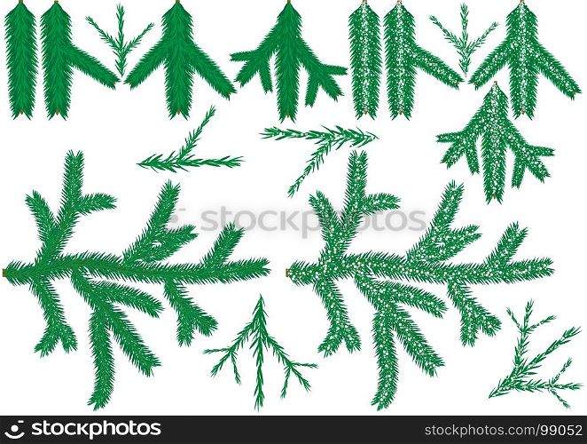 Coniferous Branch Collection