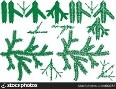 Coniferous Branch Collection