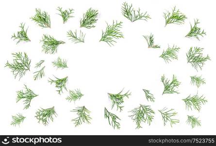 Coniferous branches. Floral flat lay background. Minimalism concept