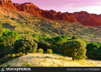 Coniferous Forest on the Background of Mountains in Spain at Sunset
