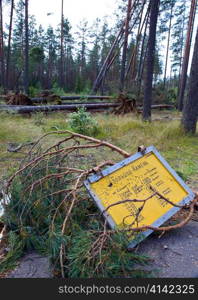 Consequences of hurricane &acute;Asta&acute;, Russia. The broken sign on a bus stop against the broken trees