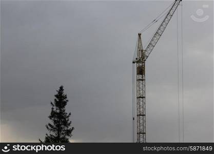 Construction crane and tree on cloudy sky background 1337. Construction crane and tree 1337