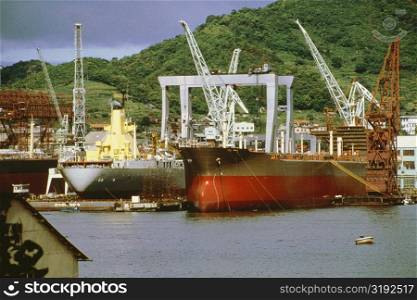 Container ships in a shipyard, Nagasaki, Japan