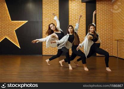 Contemporary dance performers posing in studio. Dancers training in class, modern ballet, elegance dancing, stretching exercise