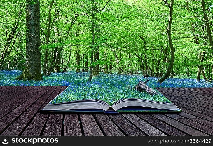 Contents of magical book containing bluebell woods spills over and blends into background