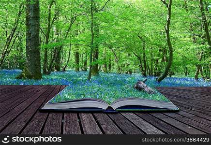 Contents of magical book containing bluebell woods spills over and blends into background