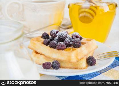 Continental breakfast with sweet waffles, raspberries and honey