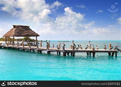 Contoy island Mexico wood pier palapa nature reserve