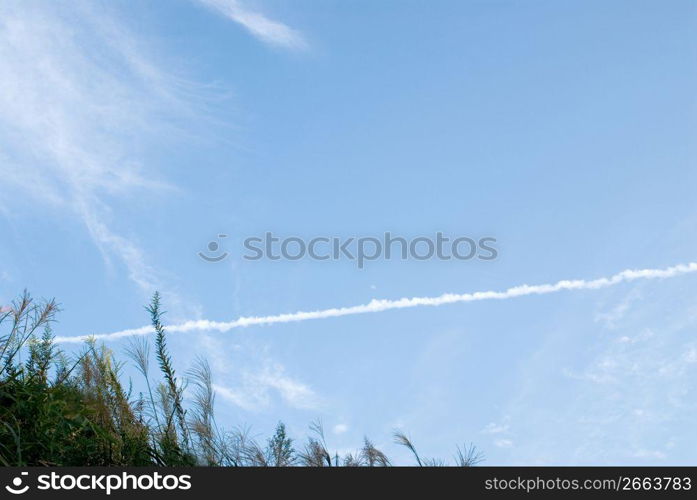 Contrail