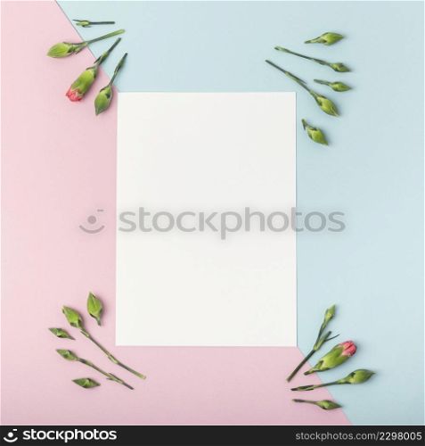 contrasted background with empty white paper carnation flowers