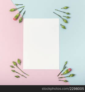 contrasted background with empty white paper carnation flowers