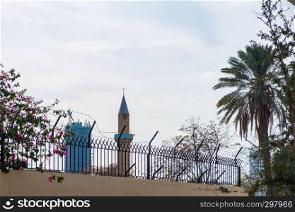 Contrasting view of a palm tree, a mosque and a sky scraper viewed from the histtoric center of Nicosia, Cyprus