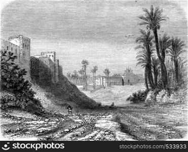 Convent of the Rambla, in Elche, vintage engraved illustration. Magasin Pittoresque 1855.