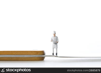 Cook