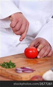 Cook preparing meal