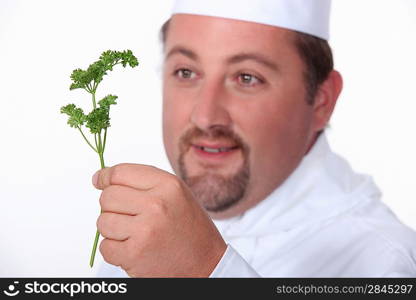 Cook with sprig of parsley