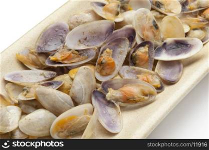 Cooked banded wedge shells on a dish on white background