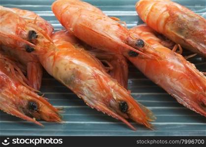 Cooked, boiled, steamed shrimp, prawn