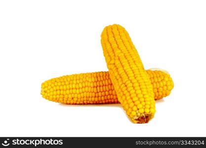 Cooked corn cob sweetcorn isolated on white