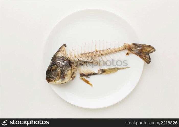cooked fish leftovers white plate