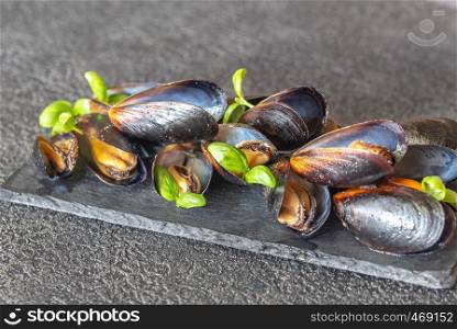 Cooked mussels on the slate board