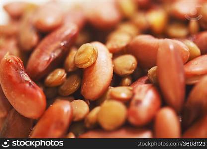 Cooked red beans and lentils