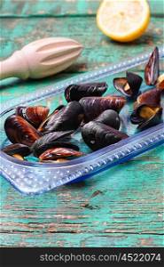 Cooked sea mussels