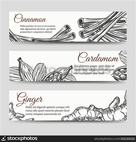 Cookery banners template with spices. Cookery banners template with hand drawn spices for ginger bread. Vector illustration