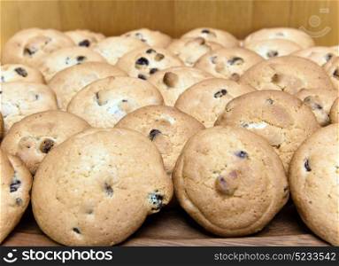 Cookies biscuit with raisin