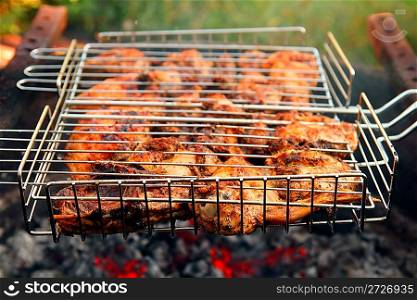 cooking barbecue on grill close-up in summer day