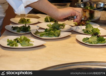 Cooking inside Restaurant&rsquo;s Kitchen: Chef Preparing Dishes with Salad and Meat