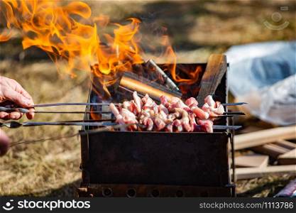 Cooking tasty meat barbecue open fire close up in spring. Cooking tasty meat barbecue open fire close up
