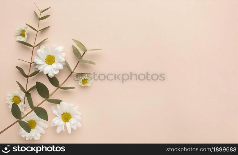 Copy space blooming flowers Picture on pik. Resolution and high quality beautiful photo. Copy space blooming flowers Picture on pik. High quality beautiful photo concept