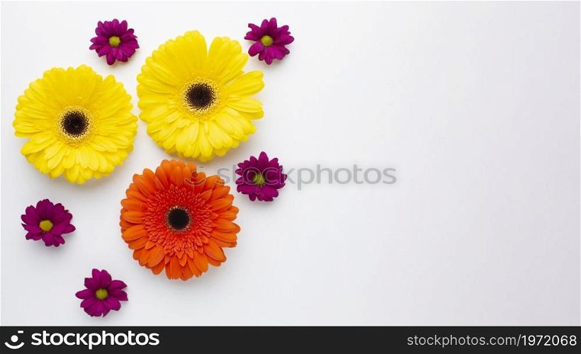 copy space colorful flowers. High resolution photo. copy space colorful flowers. High quality photo