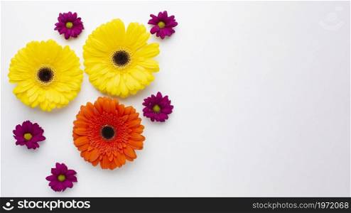 copy space colorful flowers. High resolution photo. copy space colorful flowers. High quality photo
